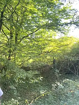 Mexxwell69 online show from September 14, 2025, 3:12 pm