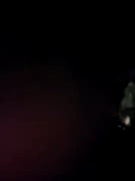 Suhana pandit online show from October 12, 2025, 11:17 pm