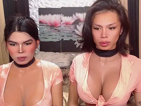 WILDROXIE online show from December 16, 2025, 4:17 am