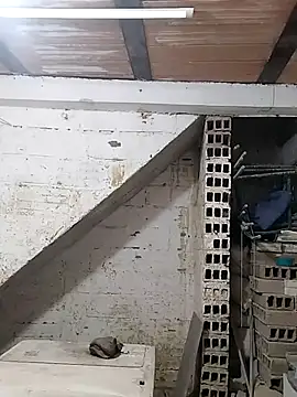 hoteder online show from October 7, 2025, 11:55 am