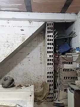 hoteder online show from September 26, 2025, 12:56 pm