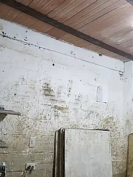 hoteder online show from October 21, 2025, 11:31 am