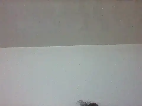 pretty349 online show from April 20, 2026, 1:13 pm