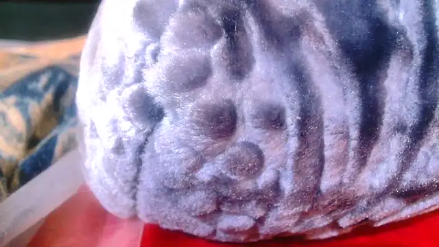 Sexy PureFire online show from November 5, 2025, 3:53 am