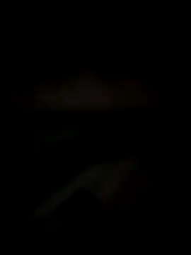 Lizbeth Rouse online show from December 14, 2025, 11:16 am