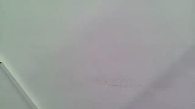 Lizbeth Rouse online show from September 28, 2025, 12:56 pm