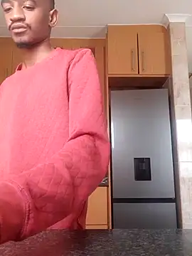 Snapshot of gemini_loops chatting on February 17, 2026, 8:11 am gemini loops online show from February 17, 2026, 8:11 am