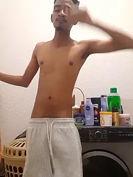 Snapshot of gemini_loops chatting on January 17, 2026, 6:22 pm gemini loops online show from January 17, 2026, 6:22 pm