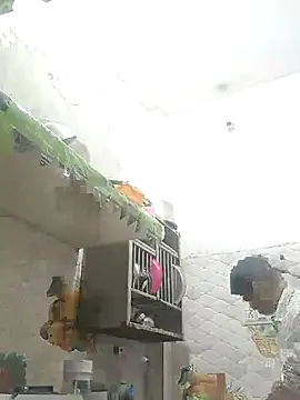 NoxiousFilename online show from October 12, 2025, 2:29 pm