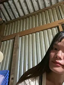 PhanHaa online show from September 28, 2025, 5:31 pm