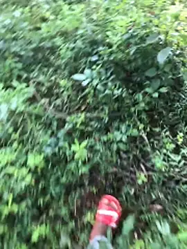 kavi1q1 online show from January 17, 2026, 4:38 am