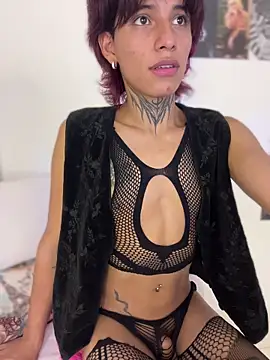 bellamy 095 online show from March 1, 2026, 8:09 pm