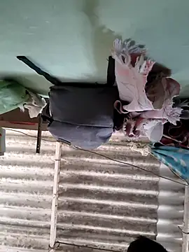 Snapshot of akshant1234 chatting on November 8, 2025, 5:11 am akshant1234 online show from November 8, 2025, 5:11 am