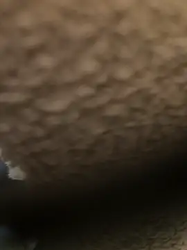 Snapshot of xxxfeo chatting on September 18, 2025, 2:31 pm xxxfeo online show from September 18, 2025, 2:31 pm