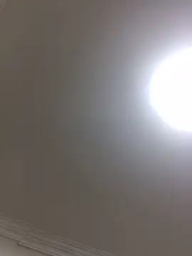 HaltBrand online show from October 21, 2025, 10:42 pm