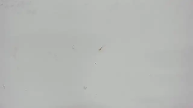 Aisha hotts777 online show from April 15, 2026, 3:12 am