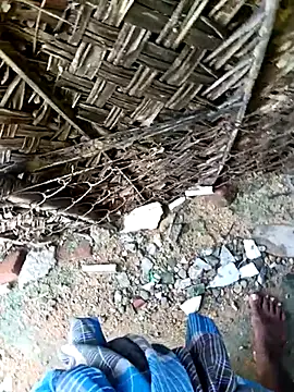 dolphiinn online show from November 30, 2025, 4:35 am