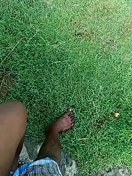 dolphiinn online show from November 7, 2025, 2:27 am