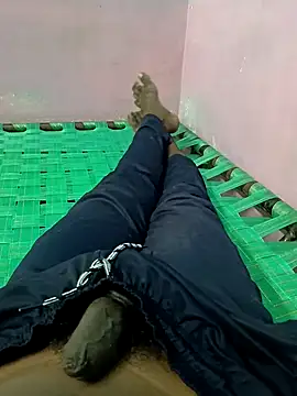 dolphiinn online show from October 4, 2025, 8:38 am