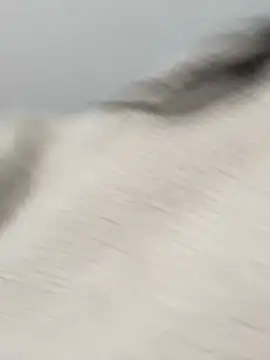 Snapshot of Victoria_alson chatting on February 19, 2026, 1:30 pm Victoria alson online show from February 19, 2026, 1:30 pm