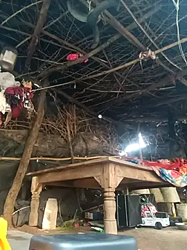 cute diya 12 online show from November 18, 2025, 3:32 am