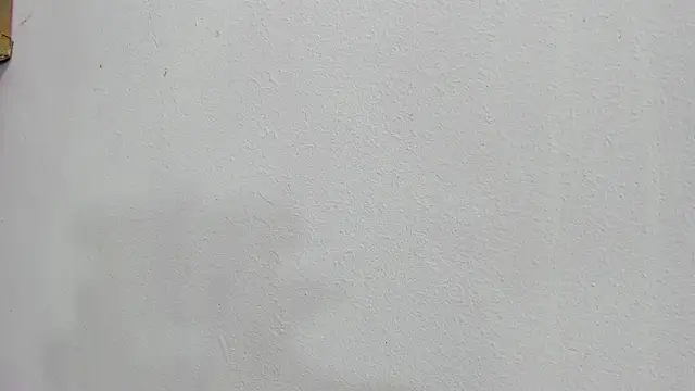 scarlett646 online show from October 25, 2025, 3:06 am