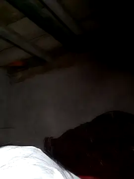 Snapshot of misa_00 chatting on February 24, 2026, 8:31 pm misa 00 online show from February 24, 2026, 8:31 pm