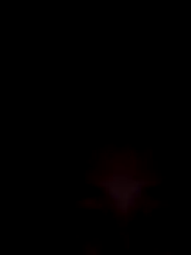 SweetSophie26 online show from January 8, 2026, 4:40 am