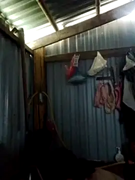 lusy-bae online show from October 24, 2025, 3:27 am