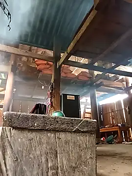 Snapshot of Ngocmi909 chatting on March 2, 2026, 5:08 am Ngocmi909 online show from March 2, 2026, 5:08 am