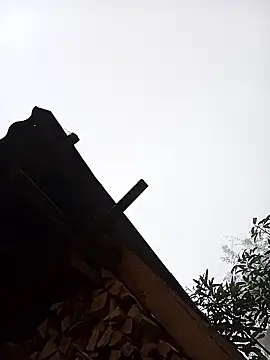 Snapshot of Ngocmi909 chatting on January 16, 2026, 12:58 am Ngocmi909 online show from January 16, 2026, 12:58 am