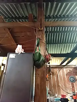 Ngocmi909 online show from April 15, 2026, 4:29 am