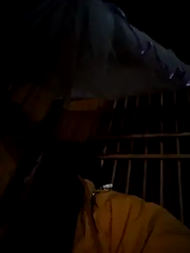 miss-su online show from December 1, 2025, 5:25 pm