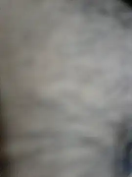 Snapshot of SHIFT1234 chatting on October 2, 2025, 4:32 pm SHIFT1234 online show from October 2, 2025, 4:32 pm