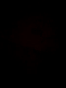 Jann Riya333 online show from February 1, 2026, 1:26 am