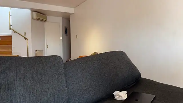 lenruy online show from March 20, 2026, 2:29 pm