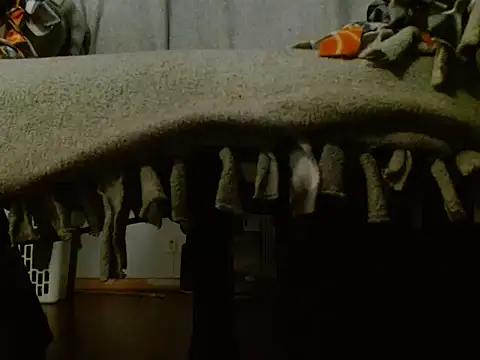 Troydaddy578 online show from April 28, 2026, 5:23 am