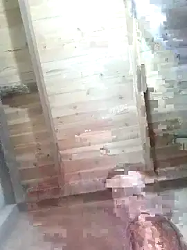 Fienjr online show from February 12, 2026, 1:38 am