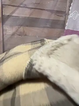 Binjt online show from December 4, 2025, 11:48 pm