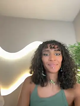 lynx sun online show from December 4, 2025, 8:19 pm