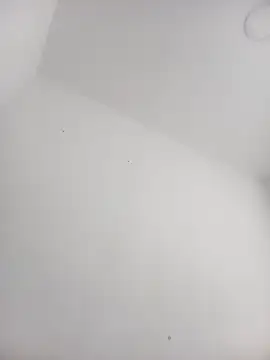 Alisson Morgann online show from October 5, 2025, 1:57 pm