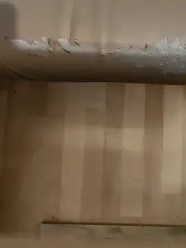 DarkNova9 online show from October 17, 2025, 3:43 am