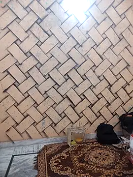 meenu bhabhi547 online show from February 25, 2026, 4:34 am