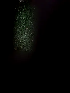 Snapshot of Jasmin_Pink chatting on November 5, 2025, 12:19 pm Jasmin Pink online show from November 5, 2025, 12:19 pm