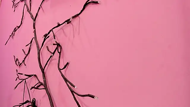 Liam evvan online show from January 13, 2026, 2:59 am