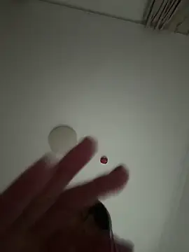 77momomo online show from April 24, 2026, 4:31 pm