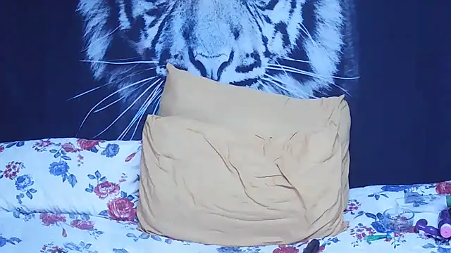 Snapshot of SweetPortableAmber chatting on February 21, 2026, 12:56 am SweetPortableAmber online show from February 21, 2026, 12:56 am