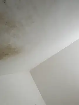 Snapshot of thunderrony chatting on October 6, 2025, 3:13 pm thunderrony online show from October 6, 2025, 3:13 pm