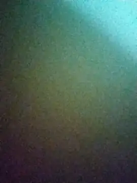 Riya jaan12 online show from November 4, 2025, 10:41 am