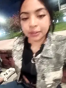 Karen 911 online show from November 26, 2025, 11:16 pm